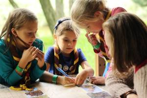 Pretek vĺčat a včielok