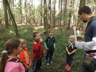 Pretek vĺčat a včielok