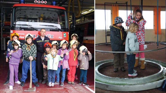 vlčatá a včielky vlčatá a včielky