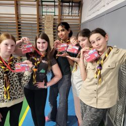 ako sa vlcata a vcielky stali archeologmi