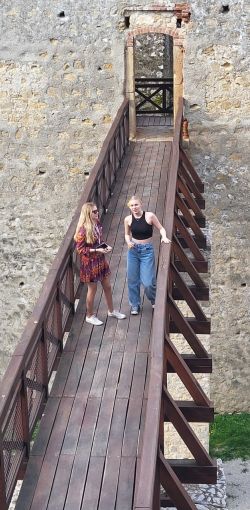 ako sa vlcata a vcielky stali archeologmi