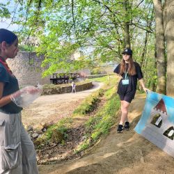 ako sa vlcata a vcielky stali archeologmi