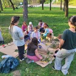 ako sa vlcata a vcielky stali archeologmi