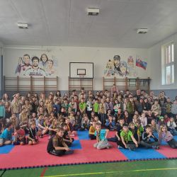 ako sa vlcata a vcielky stali archeologmi