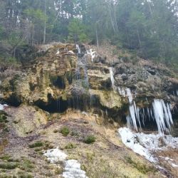 2020 01 cupakabri bb