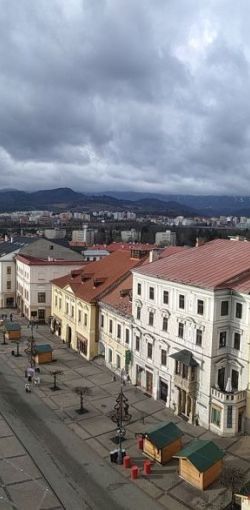 2020 01 cupakabri bb