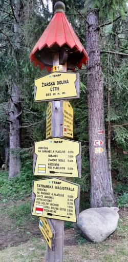 2021 08 jasterice liptov