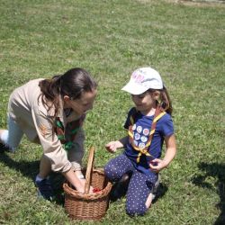 2017 06 nedelny piknik