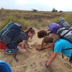 2021 06 nox sranecke piesky