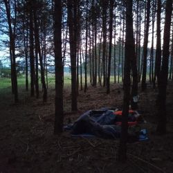 2021 06 nox sranecke piesky