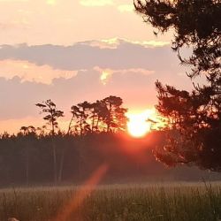 2021 06 nox sranecke piesky