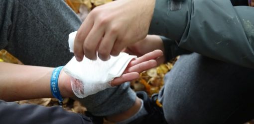 2022 10 rosa bezovec