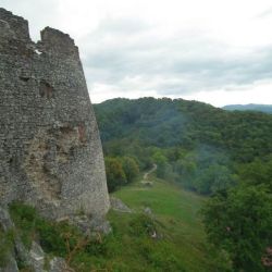 2021 09 rosa restart 21