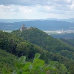 2021 09 rosa restart 21