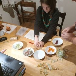 2020 12 satkovanie novacikov