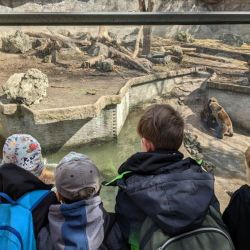 2023 03 zbojnici zbojnic